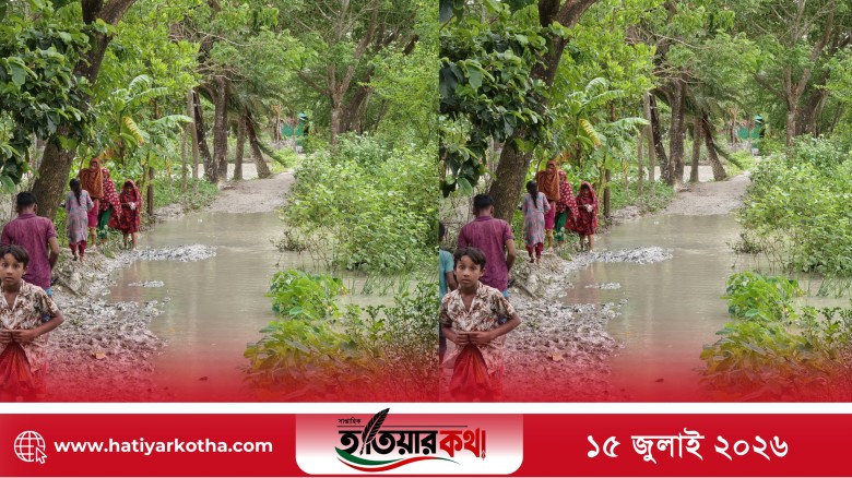 সোনাদিয়া ইউনিয়নের খালপাড় সড়ক সংস্কারের দাবি, এমপির প্রতিনিধিদের আশ্বাসের পরও মেলেনি কাজ